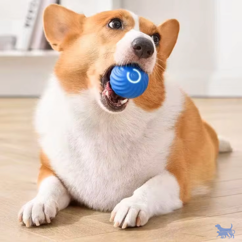 Pallina Da Gioco Interattiva