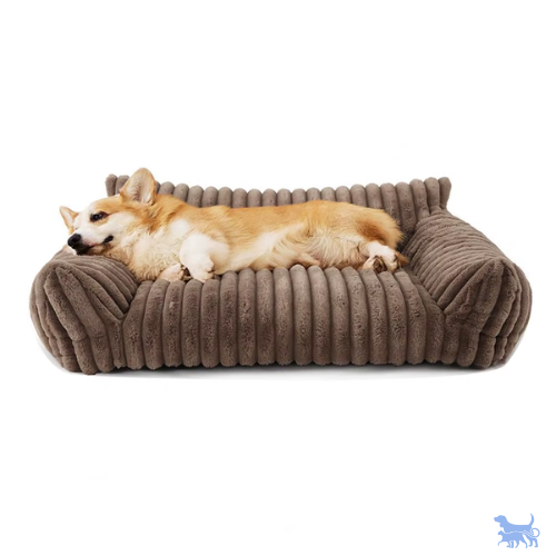 Cuccia sofa in velluto a coste