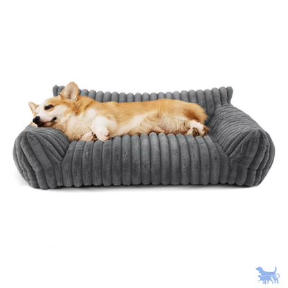 Cuccia sofa in velluto a coste