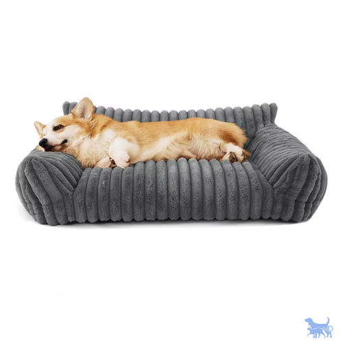 Cuccia sofa in velluto a coste