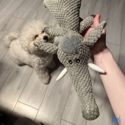 Peluche per cani con cuciture rinforzate