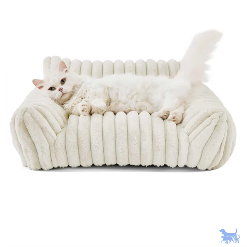 Cuccia sofa in velluto a coste